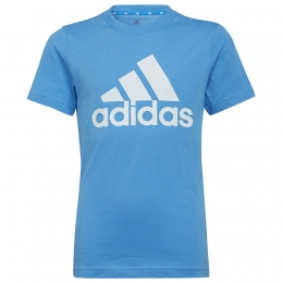 Koszulka adidas Big Logo Tee HP0837