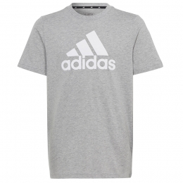 Koszulka adidas Big Logo Tee HR6379
