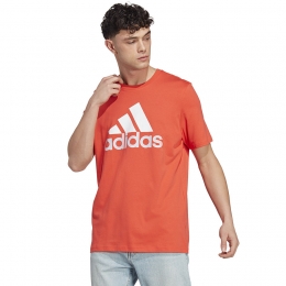 Koszulka adidas Big Logo SJ Tee IC9358